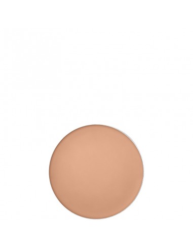 Shiseido_Tanning_Compact_Foundat_1715882049_1.jpg