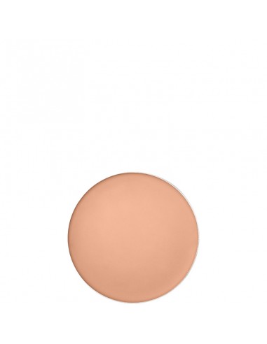 Shiseido_Tanning_Compact_Foundat_1715882052_2.jpg