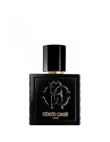 Roberto_Cavalli_Uomo_Eau_De_Toil_1722081123_0.jpg