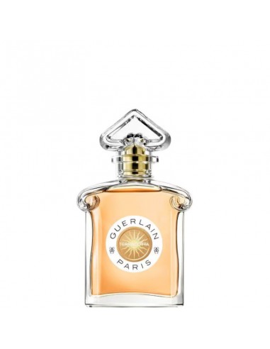 Guerlain_Terracotta_Eau_De_Toile_1738930922_0.jpg