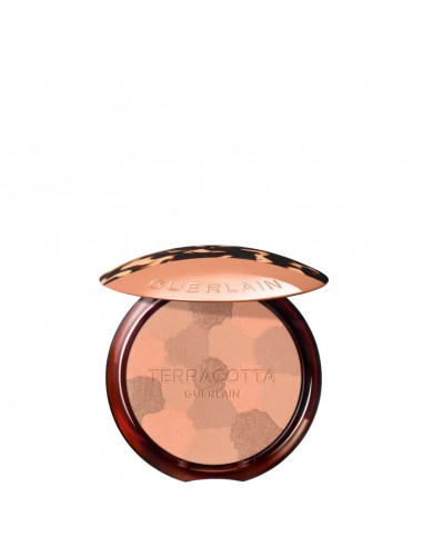 Guerlain_Terracotta_Light_Limite_1739964756_0.jpg